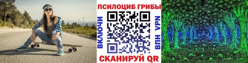 Псилоцибиновые грибы прущие грибы Николаевск